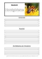 Steckbriefvorlage-Honigbiene-C-1-2.pdf